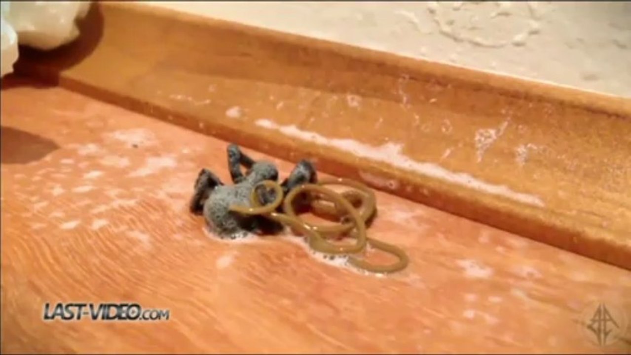 Le zapping du web de Last-Video.com n°11