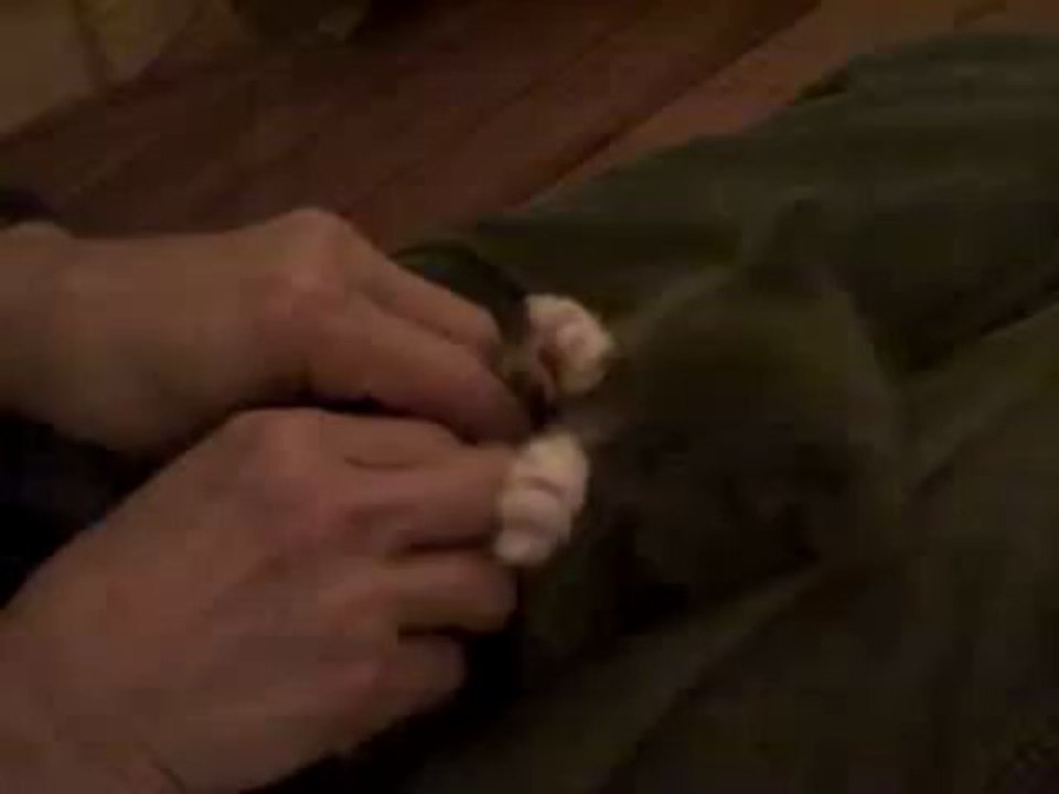 all love problems solution babaji +91-9915243009