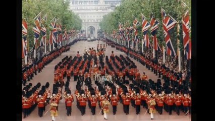 March-Royal Standard Young-Pollen