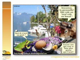 Zoom sur le Zoo de Montreux !