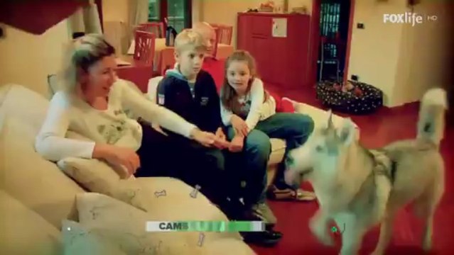 Cambio Cane dal 30 novembre in prima assoluta su FoxLife