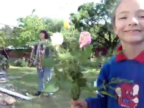 Лучший отдых в один прекрасный день