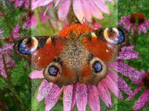 Gheorghe Zamfir & Sound of Sil & ( BEN )