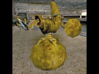 toutes les créatures de morrowind