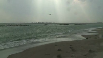 Japan struggles to rebuild town after 2011 tsunami