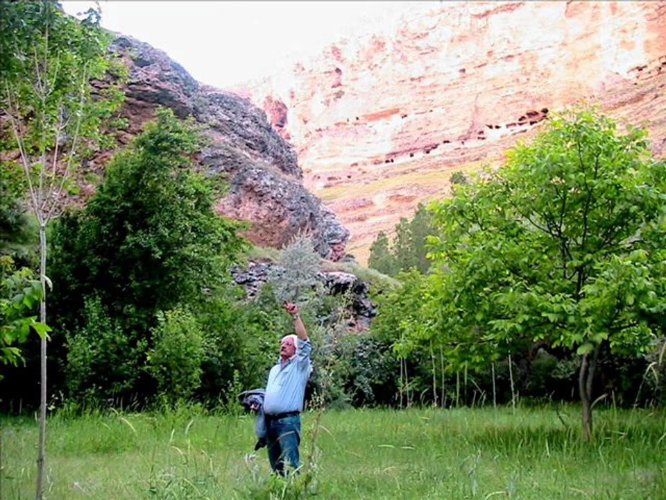 Ali Aksoy: Bu Ellerde