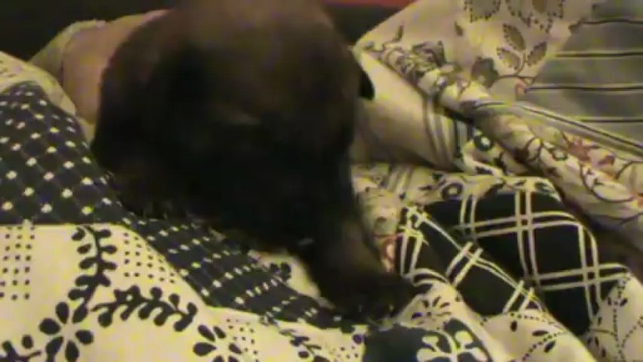 Be Aware Frankie - Tummy is full!