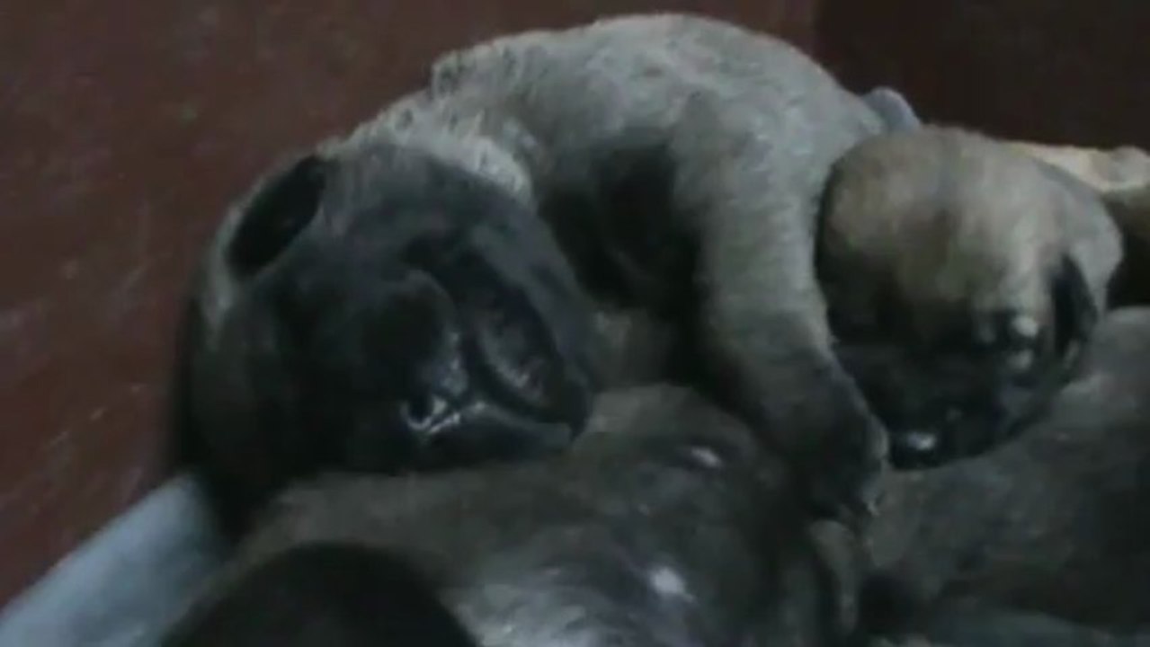 Be Aware F's - Jamm, Jamm!