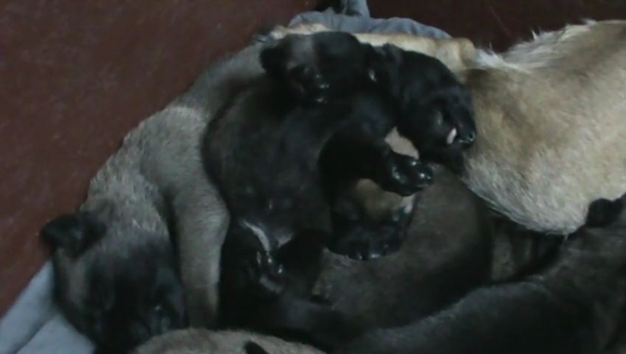 Be Aware F's - Roller Coaster!