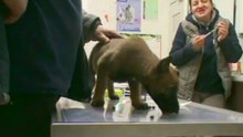 Be Aware F'Stiegl @ Vet