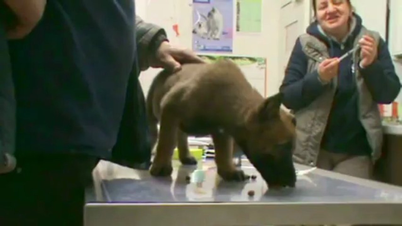 Be Aware F'Stiegl @ Vet