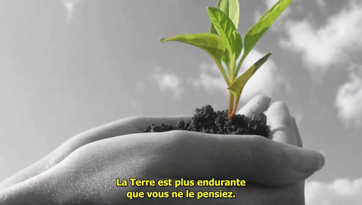 Les Messagers de l'Aube - L'Enseignement des Pléiadiens 3/3 FR