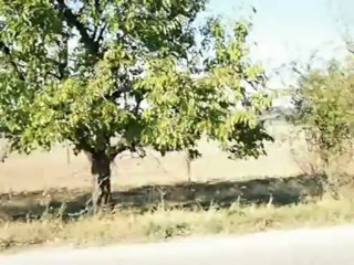 Roues-Libres / Dans les plaines Bulgares