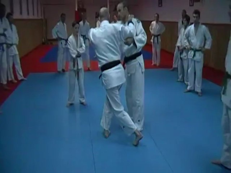 Jujitsu Rollin Philippe.
