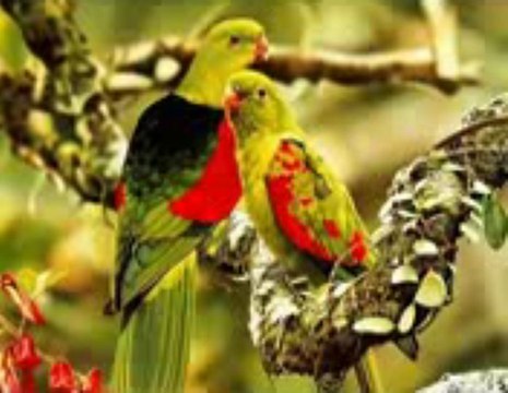 Almanya Sohbet chat, ALMANYA SESLİ, almanya seslim, almanya sesli chat siteleri