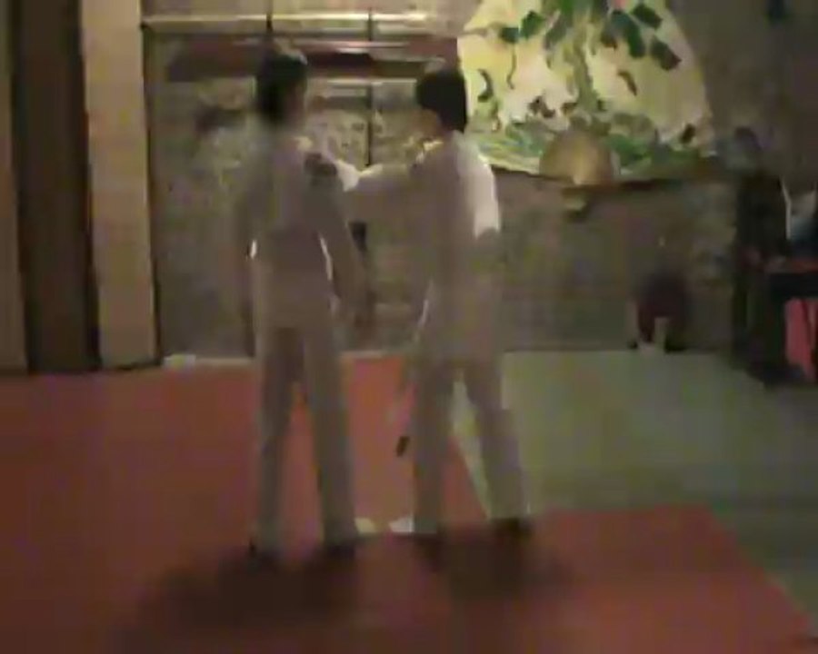 Gyaku hanmi kata dori henka oshi