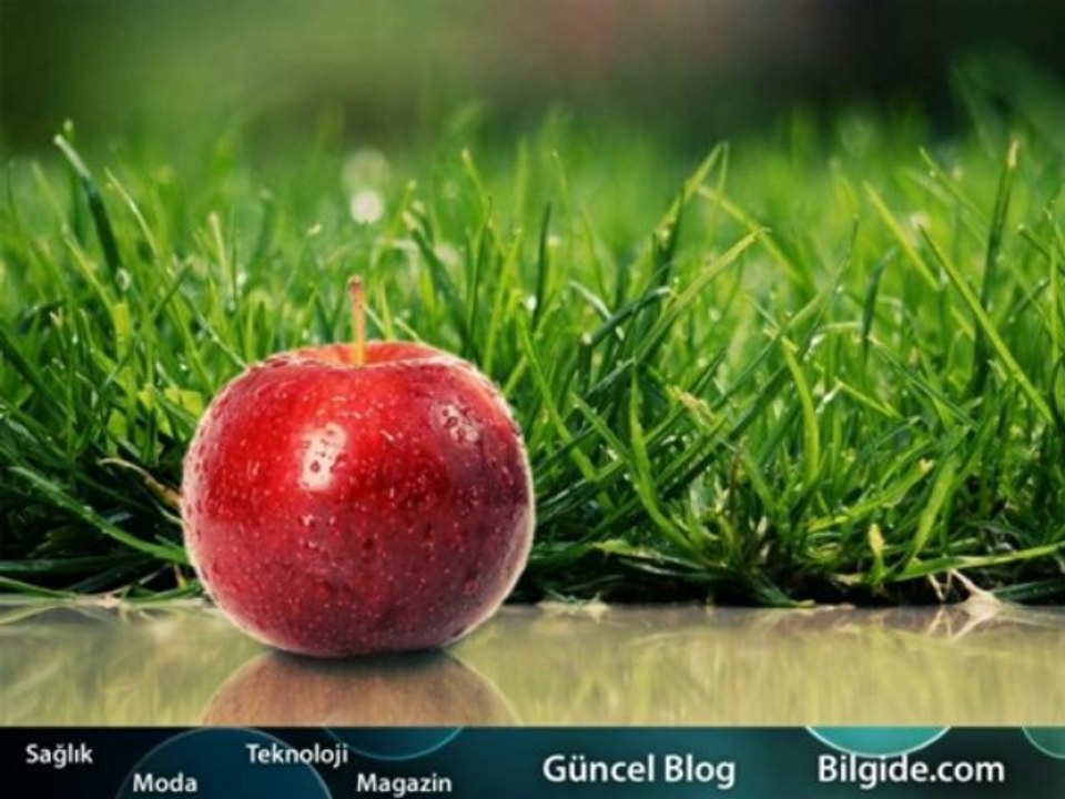 Güncel Bilgiler ile ilgili Sorular