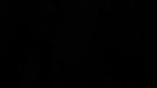 IT Works Ultimate Makeover Body Wraps Ultimate Body Applicator | IT Works Distributor