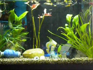 A  PARIS (interpretation personnelle) 2010 °°°