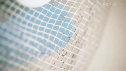 Buone vacanze da FoxCrime (zanzara)