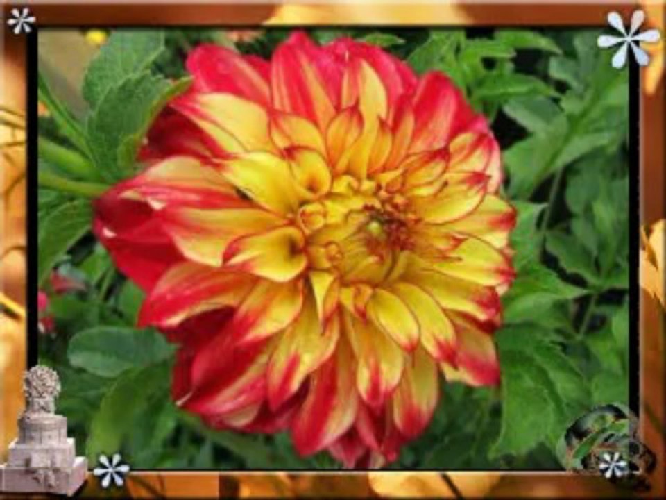 GÜRSEL UGURLU.SENDEN  ÖZÜR  DILIYORUM