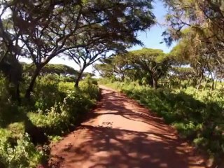 serie N°2 safari Tanzanie 02/2013 vidéos animaux caméra go-pro