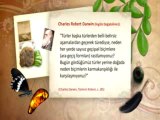 adnan oktar, adnan hoca, adnan hocanın talebeleri, kuranda hoşgörü, sevgi, nefret, cihad, yobazlık, müşrik sistemi, a9, ahirazman ve yaratılış delileri, adnan hocanın talebeleri, adnancılar, adnan hocacılar, adnan hocanın sohbetleri, adnan hoca müzik, ak