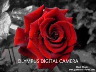 اغنيه الورد الاحمر سامو زين - YouTube