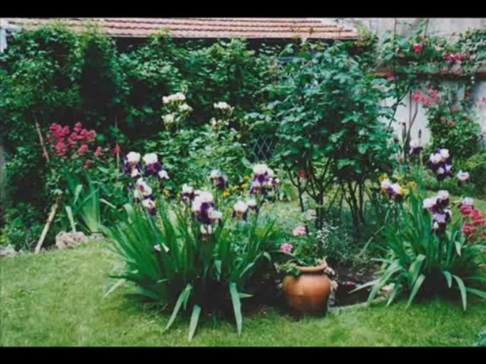 Michel Jean MULLER CD1