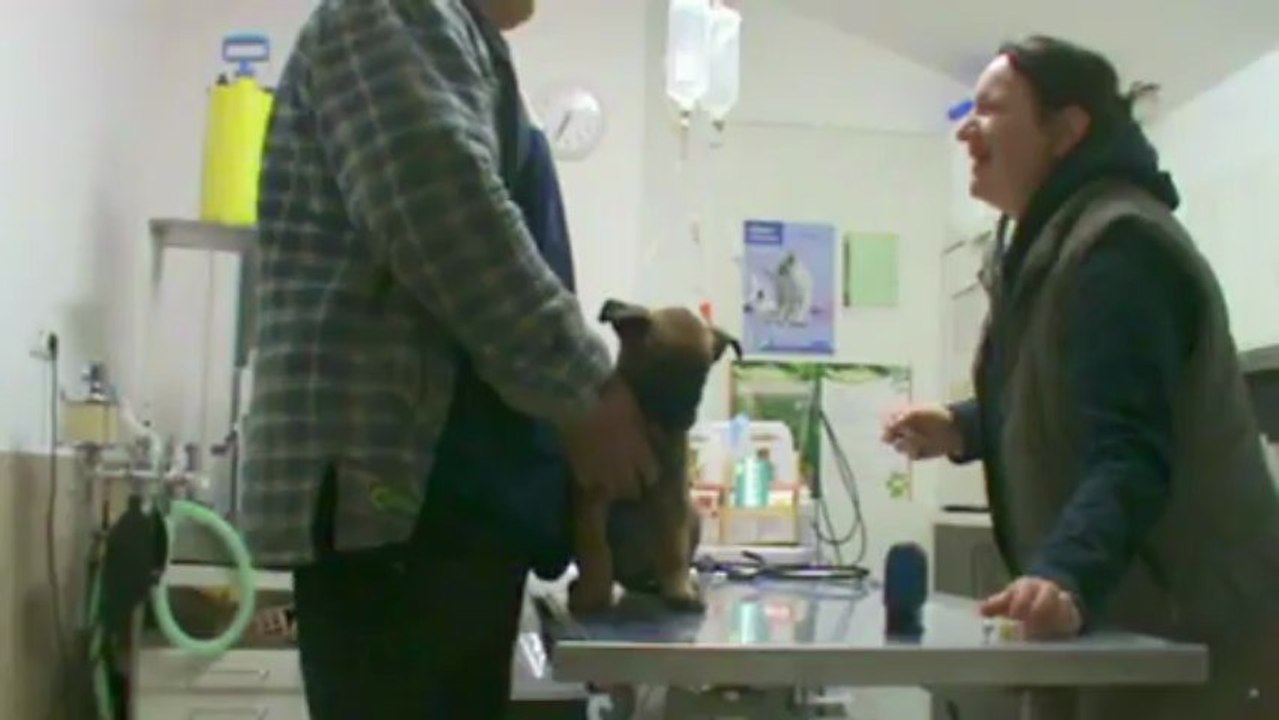 Be Aware FIRESTARTER @ Vet