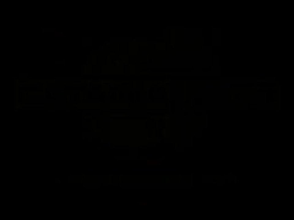 Maran intervista sky dopo Juve-Catania