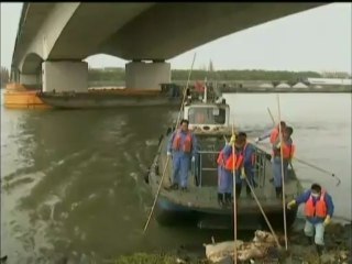 Au moins 900 cochons morts ramassés dans une rivière en Chine