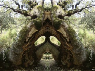 Skyff - Les lutins dérangés Hardtek