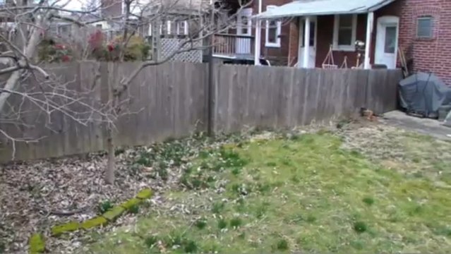 4336 Lauriston Street, Philadelphia, PA