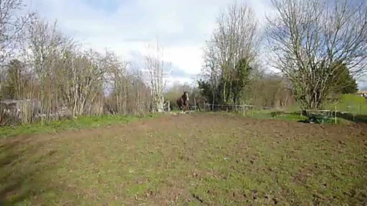 un-peu-d-herbe-3