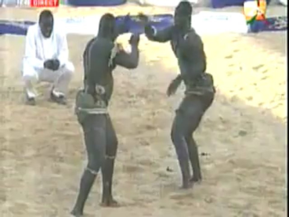 VIDEOS petits combats