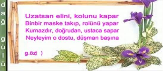 Neyleyim Böyle Dost, Düşman Başına