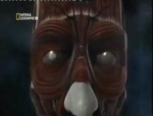 Metanfetamina: Daños corporales