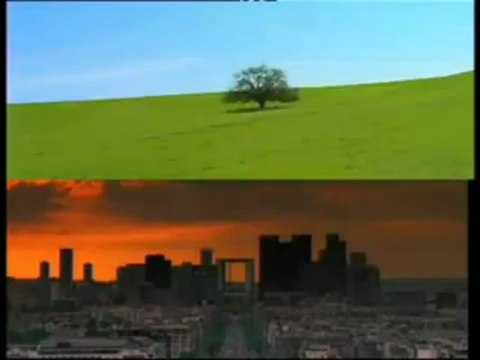 film Des Racines et des Ailes Bruxelles bande annonce VF