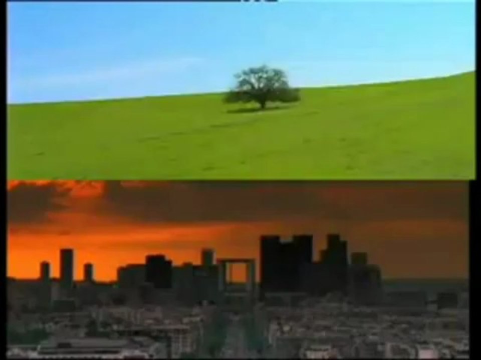 film Des Racines et des Ailes  Bruxelles bande annonce VF