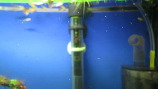 Ista Max Mix Co2 Reaktör den çıkan kabarcıklar