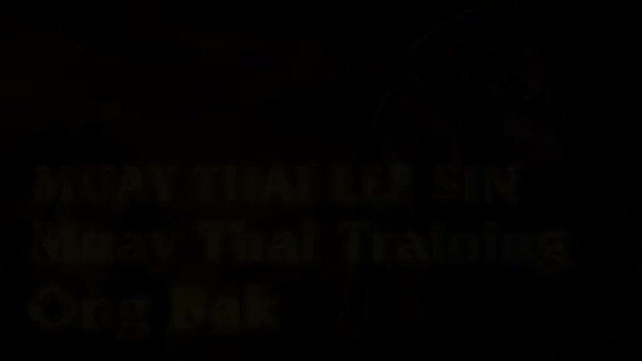 Lee Sin est Tony Jaa - League of legends - team...