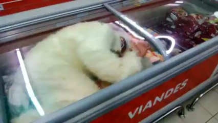 Les Sport'n'Ice font n'importe quoi - Vidéo de pré-campagne