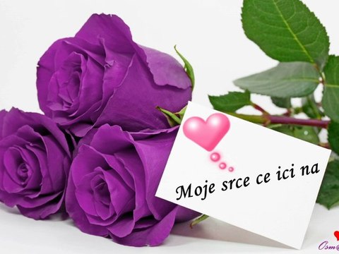 Celine Dion - My Heart Will Go On