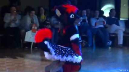 Furry Fiesta 2013 - The Fursuit Dance Competition!