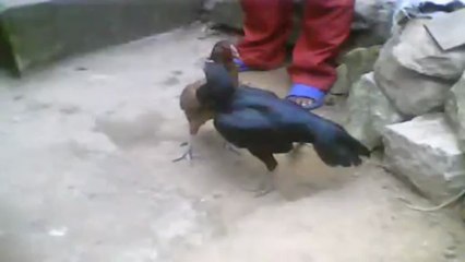 Mainty vs Reunion_CUT