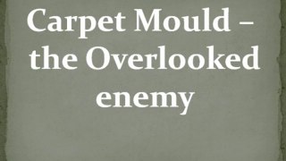 Carpet Mould – the Overlooked enemy