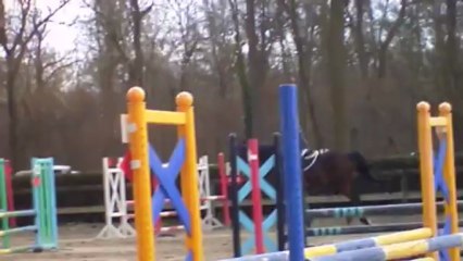 Karistan - Erstein - 10 mars 2013 - Club 2 GP