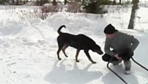 Stray Dog Gives Man Surprise