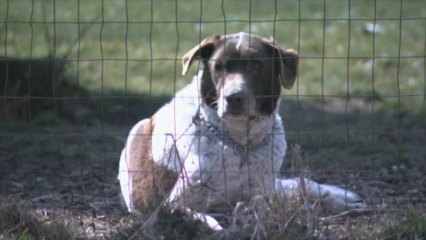 Warum tust du mir das an